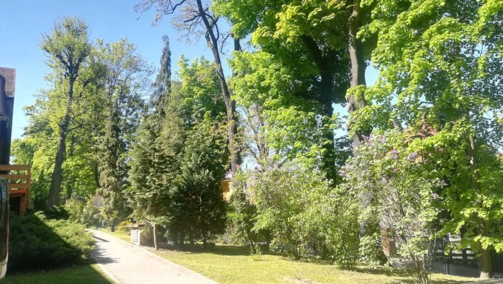 Dom Opieki Zacisze w Szczawnie-Zdroju — Zdjęcie 2 z 4