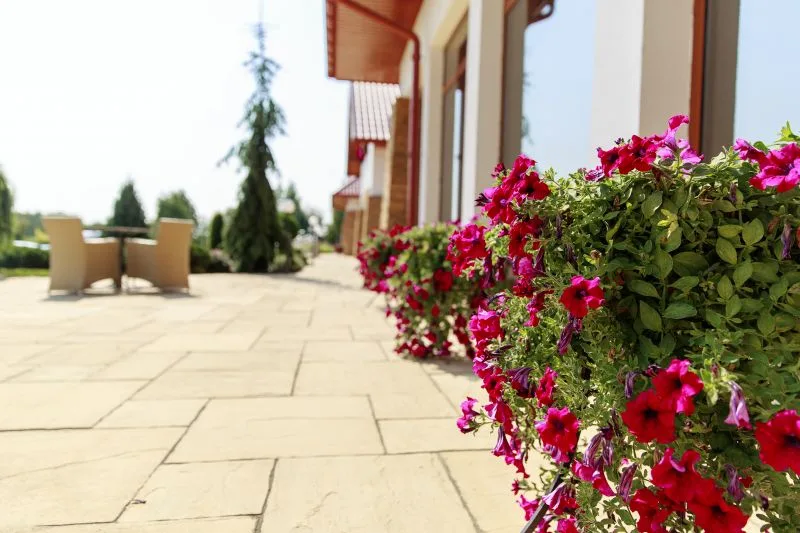 Prywatny Dom Opieki Villa Carpatia w Żołyni — Zdjęcie 7 z 11
