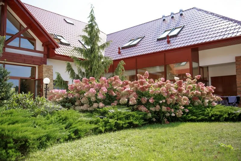 Prywatny Dom Opieki Villa Carpatia w Żołyni — Zdjęcie 9 z 11