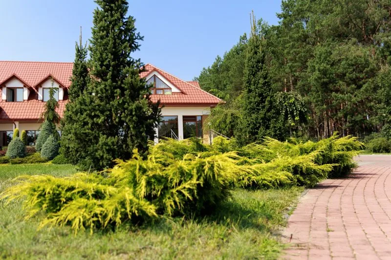 Prywatny Dom Opieki Villa Carpatia w Żołyni — Zdjęcie 4 z 11